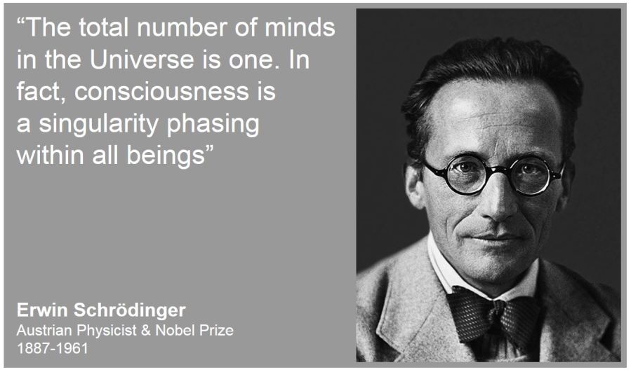 Erwin Schrödinger – Drops of Wisdom